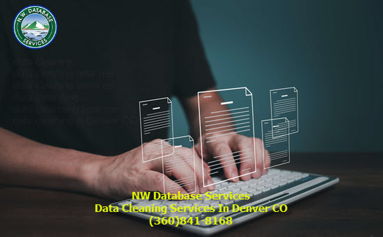 Reliable Data Cleaning Services for Business Records